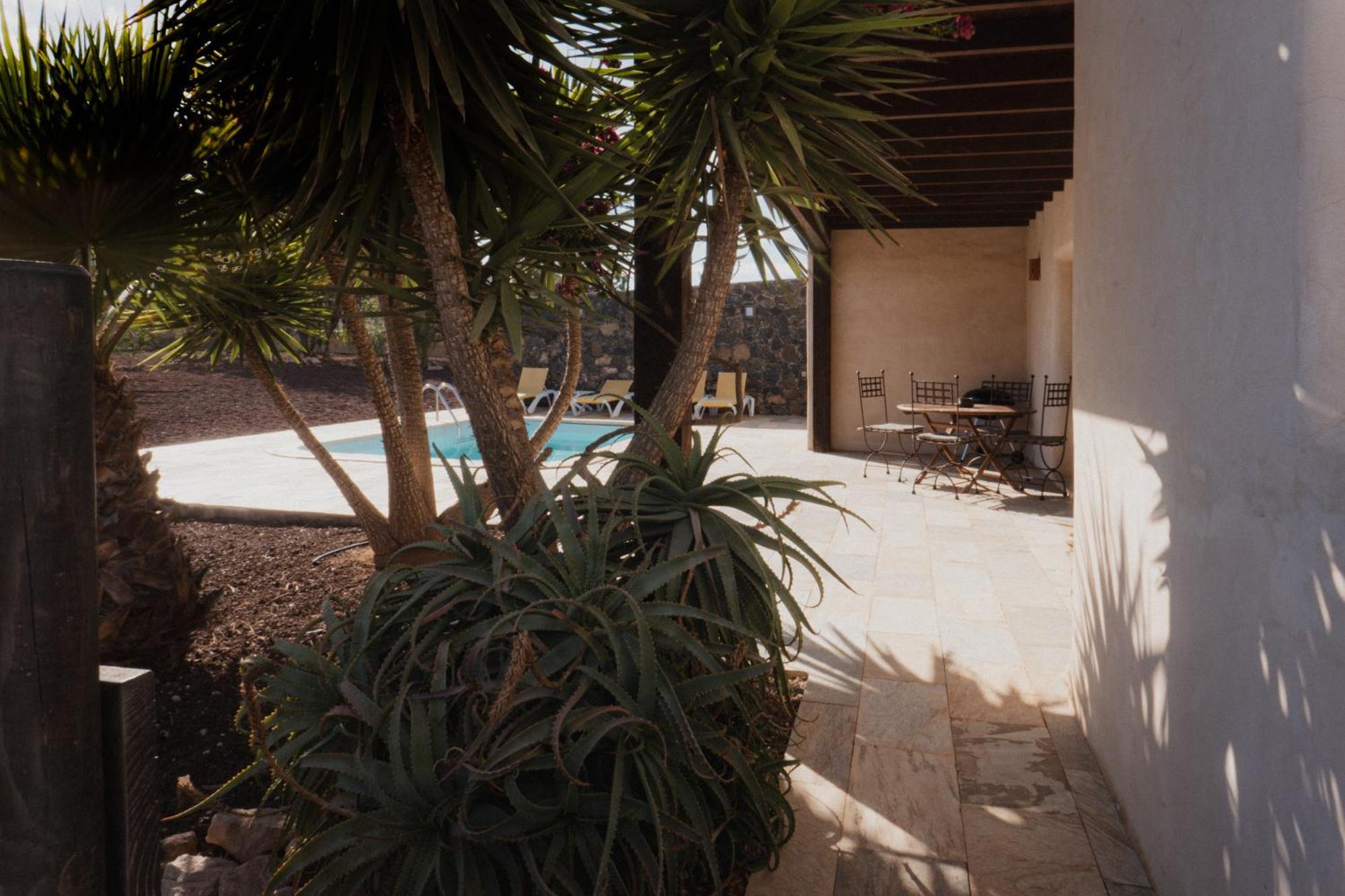 Villa Upupa La Oliva Exterior photo